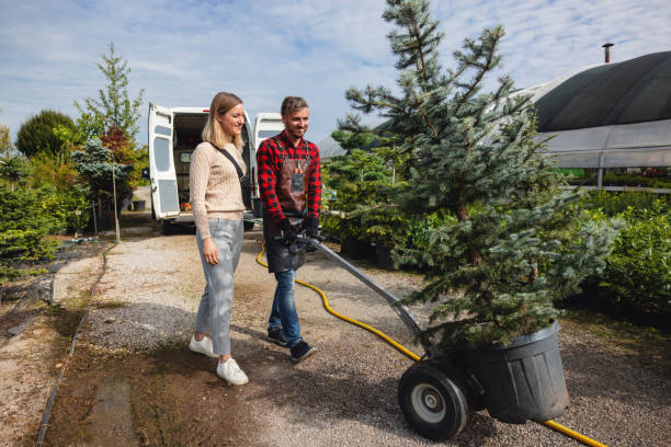 Best Emergency Tree Service  in St James, NC